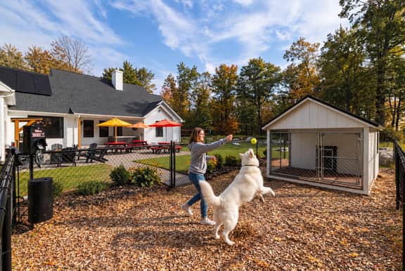 Sleeps 18! Arcade, dog park, hot tub, firepit - Image 3